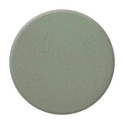 Satin Sage (Zoya Nail Polish)